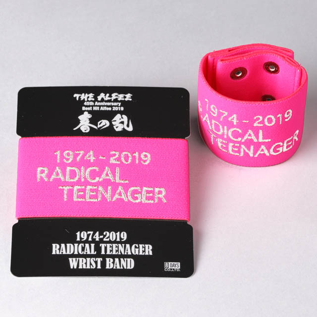 日本最級 THE ALFEE RADICAL TEENAGER リストバンドセット